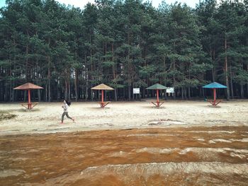 Man on beach against trees