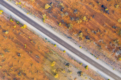 Australia, south australia, aerial view of stuart highway in lake hart area