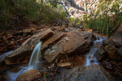 Stream flowing through rocks in forest