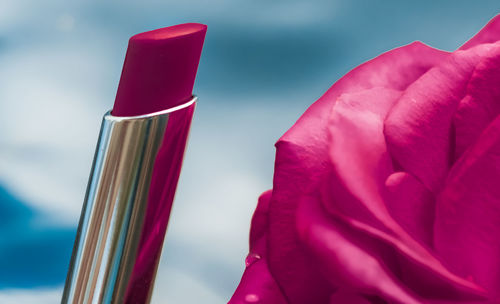 Cropped hand of woman holding red flower