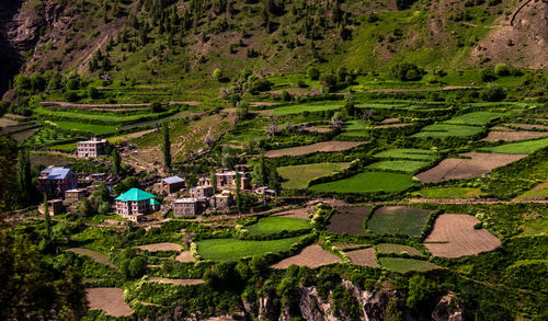 High angle view of agricultural field