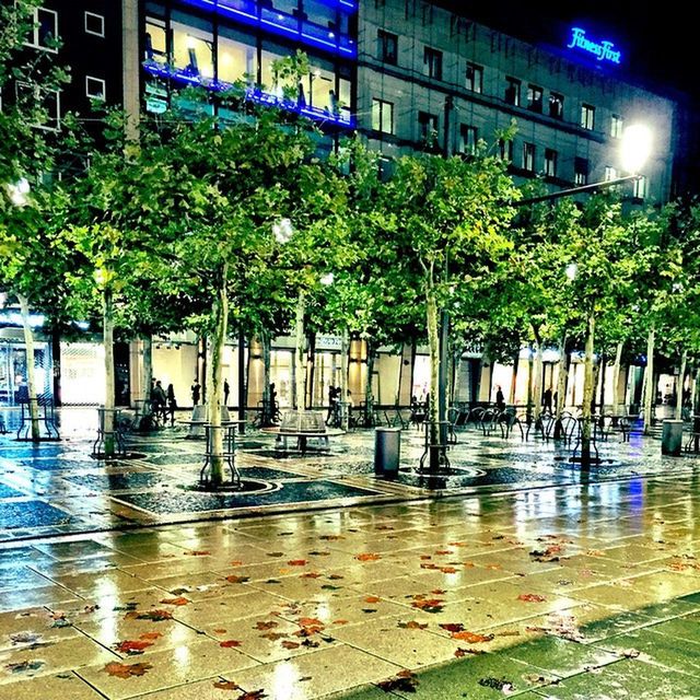 TREES REFLECTING IN WATER