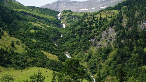 Scenic view of landscape