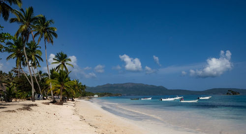 Scenic view of beach against blue sky