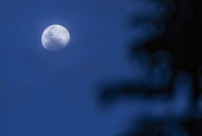 Low angle view of moon against sky at night