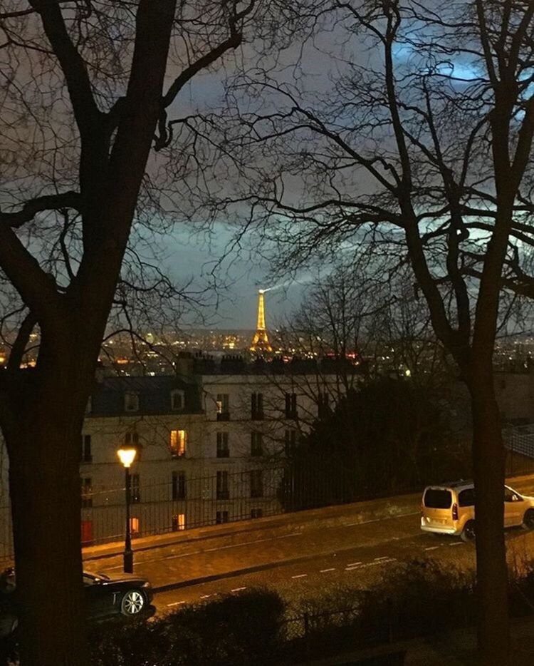 ILLUMINATED STREET LIGHT AND BARE TREES AGAINST SKY AT NIGHT