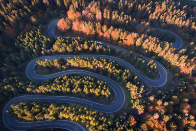 Aerial view of road amidst trees