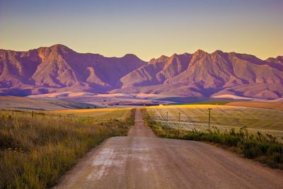 Dirt road amidst agricultural fields