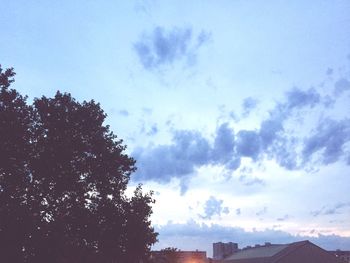 Low angle view of silhouette trees and building against sky