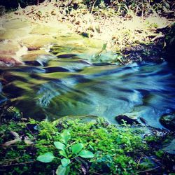 Stream flowing through rocks