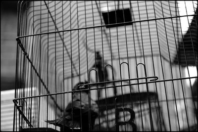 Low angle view of fence against building