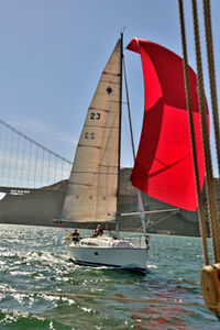 Sailboat sailing on sea against sky