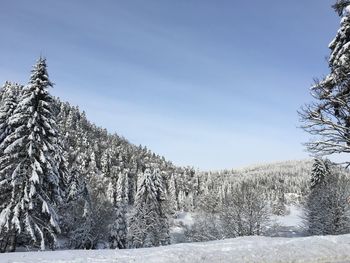 Scenic view of snow covered landscape