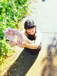 High angle view of woman holding plant on sunny day