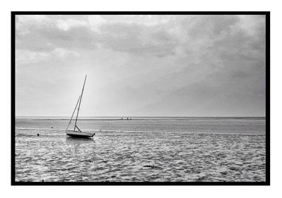 Sailboat sailing on sea against sky