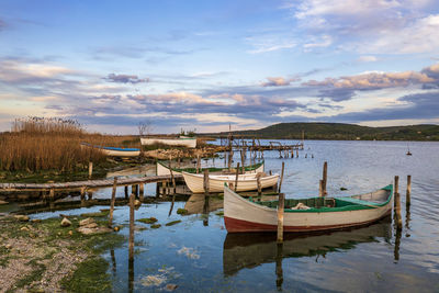 Boats moored at harbor