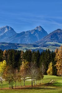 Trees on field by mountains against sky