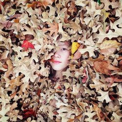 Portrait of girl amidst dry leaves