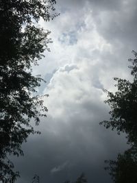 Low angle view of trees against cloudy sky