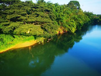 Scenic view of lake by trees against sky