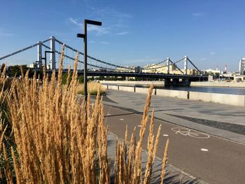 View of suspension bridge over river