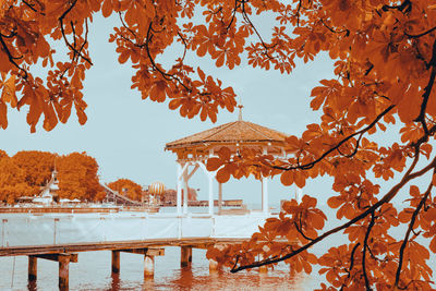 Autumn trees by building against sky