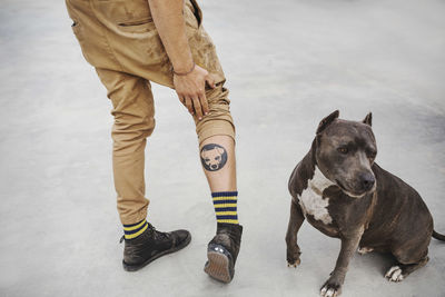 Low section of carpenter showing dog tattoo on leg while standing by pet