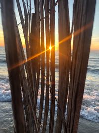 Close-up of tree trunk by sea during sunset