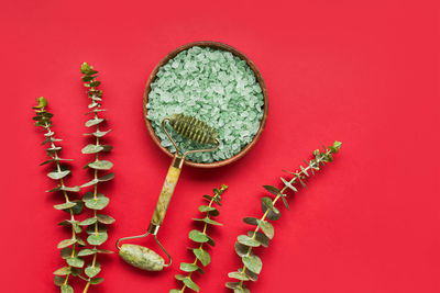 High angle view of tomatoes on table against red background