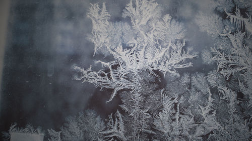 Full frame shot of frozen ice
