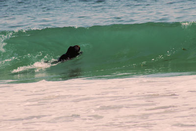 Waves in sea