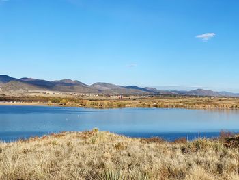 Scenic view of lake against blue sky