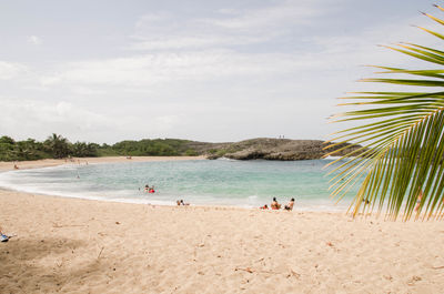 Mar chiquita in manatí puerto rico. caribbean pristine beach with sand and blue waters