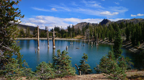 Scenic view of lake by trees against sky