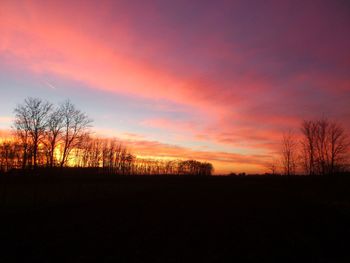 Silhouette of trees at sunset