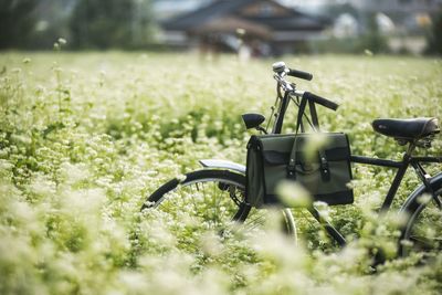 Close-up of bicycle in grassy field