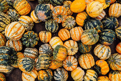 Full frame shot of pumpkins