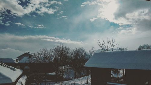 Bare trees against sky during winter