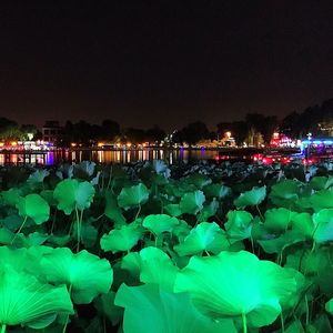 View of illuminated fountain at night