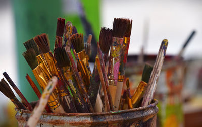 Close-up of paintbrushes in container