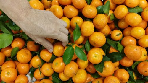 High angle view of man for sale at market stall