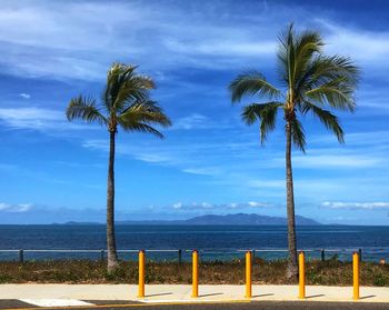 Palm trees on beach against sky