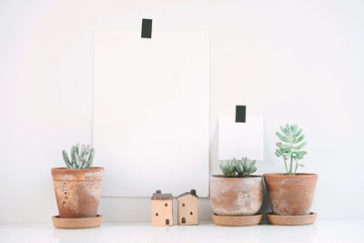 Close-up of potted plant on table against white wall