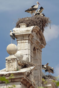 Low angle view of birds on building against sky