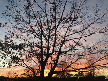 Silhouette bare tree against sky during sunset