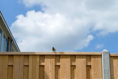 Low angle view of man standing by railing against sky