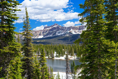 Scenic view of lake by trees against sky