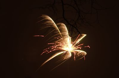 Firework display at night