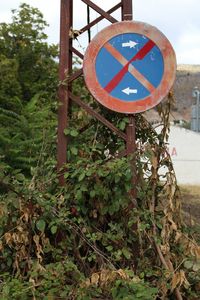 Close-up of sign board against plants