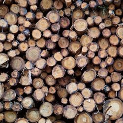 Full frame shot of logs